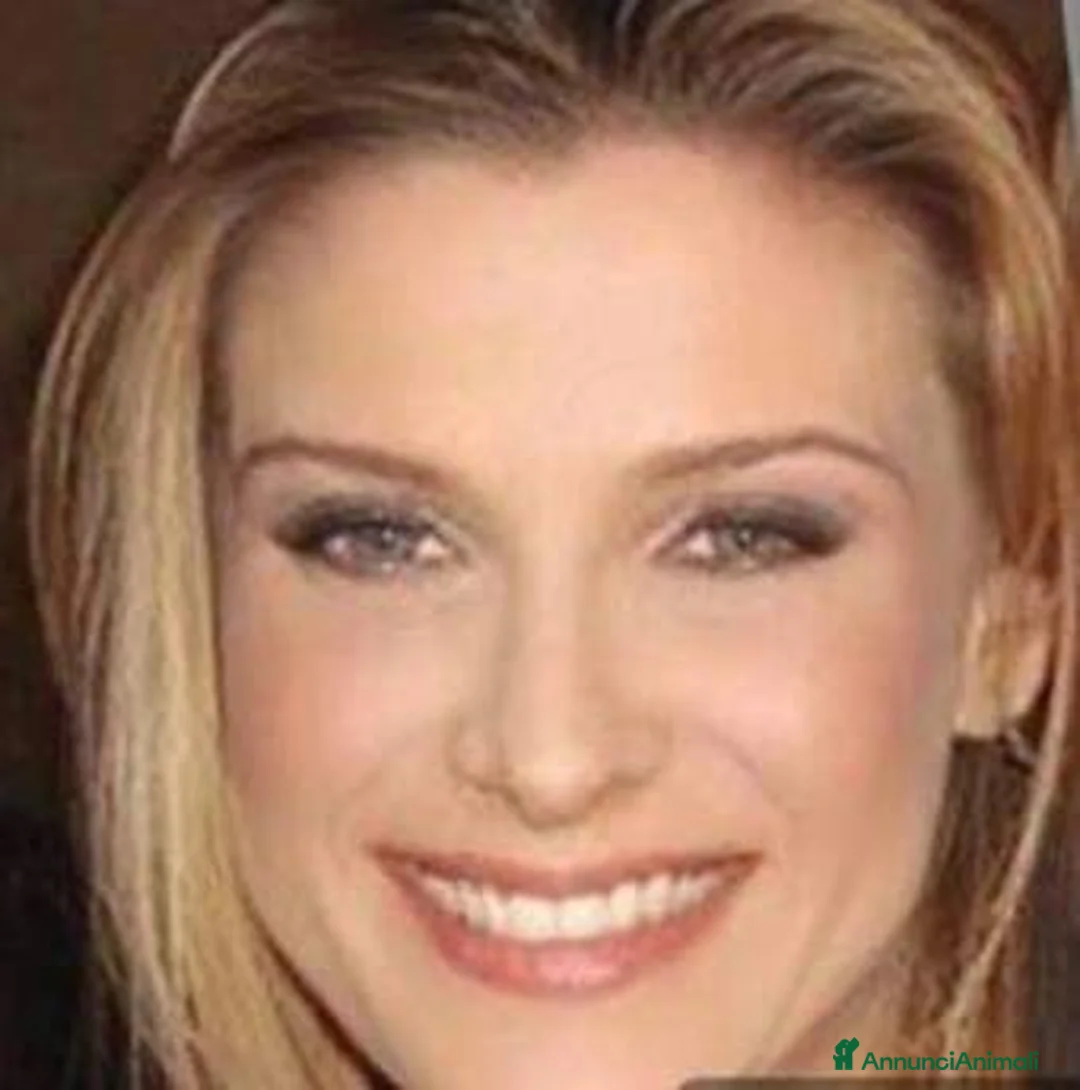 Immagine della galleria {{count}}