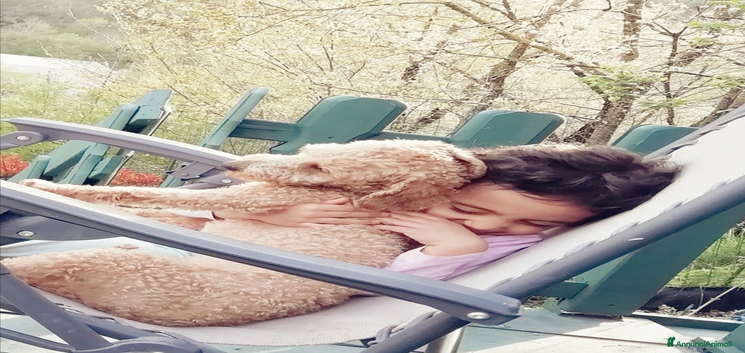 Immagine della galleria {{count}}