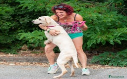 Altre razze cani in regalo: sergio - Immagine 5