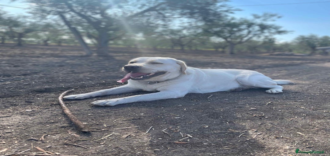 Immagine della galleria {{count}}