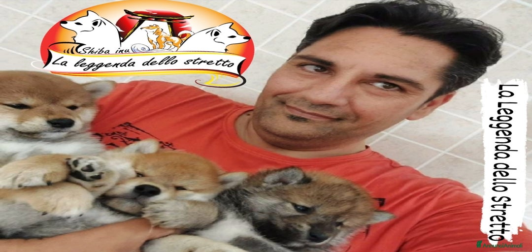 Immagine della galleria {{count}}