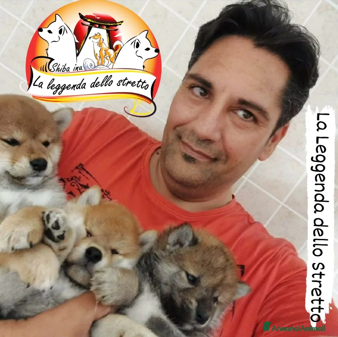 Immagine della galleria {{count}}