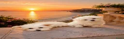 Maltipoo cani in vendita: Maltipoo toy femmina  - Annuncio 4