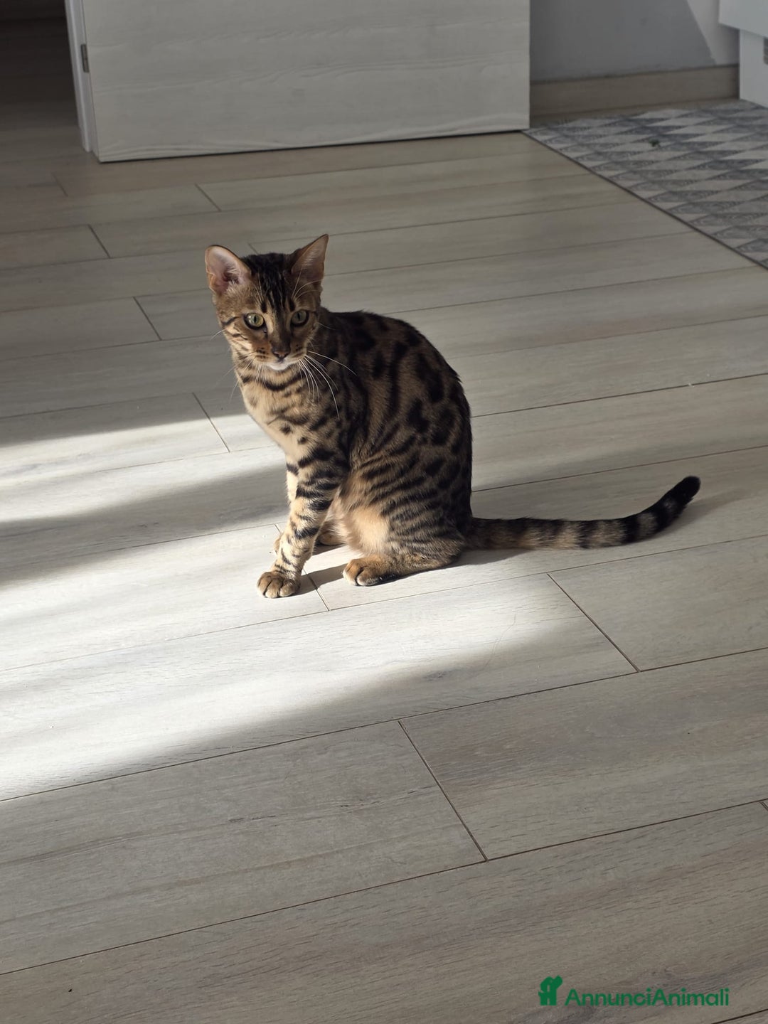 Immagine della galleria {{count}}