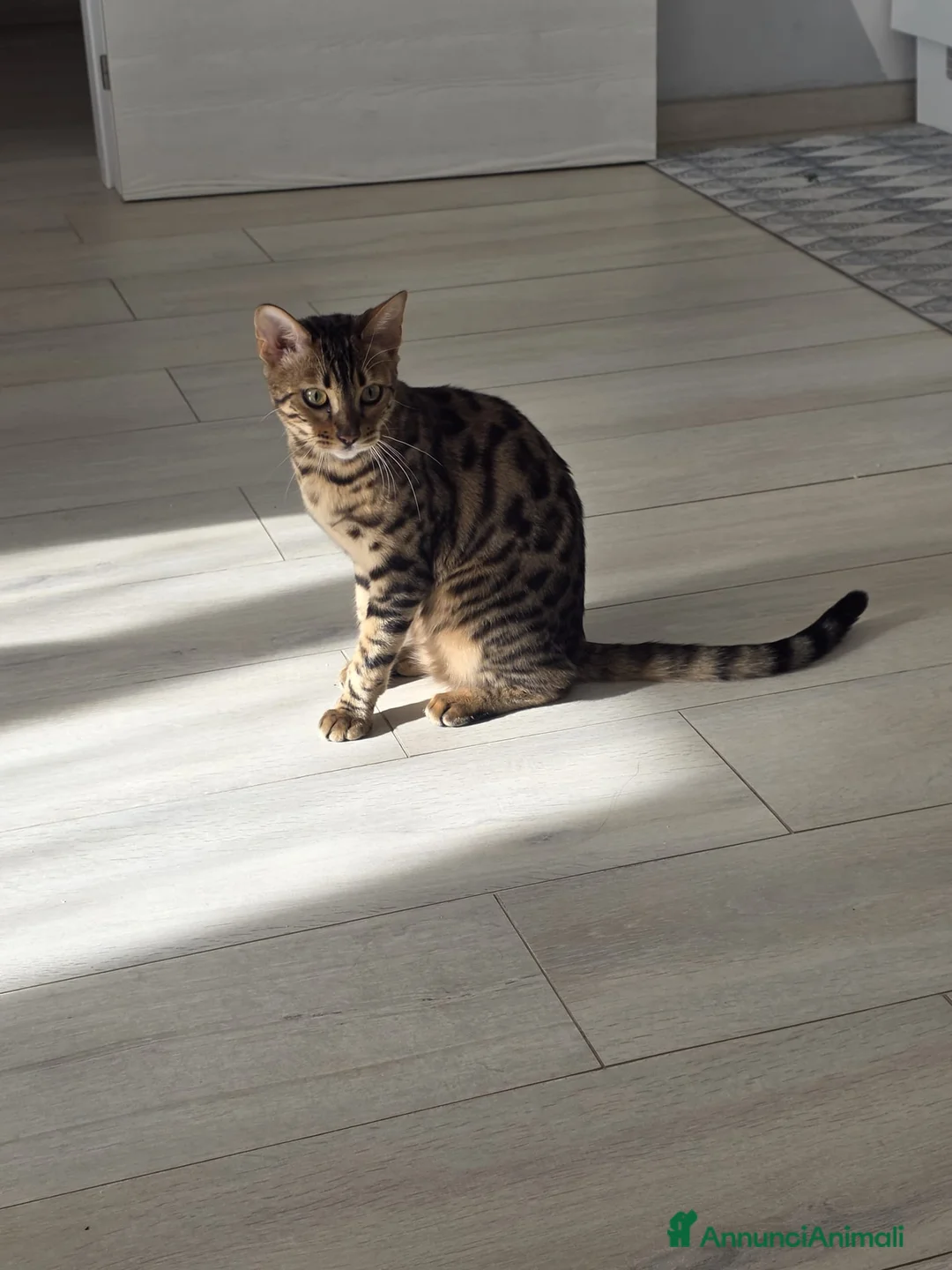 Immagine della galleria {{count}}