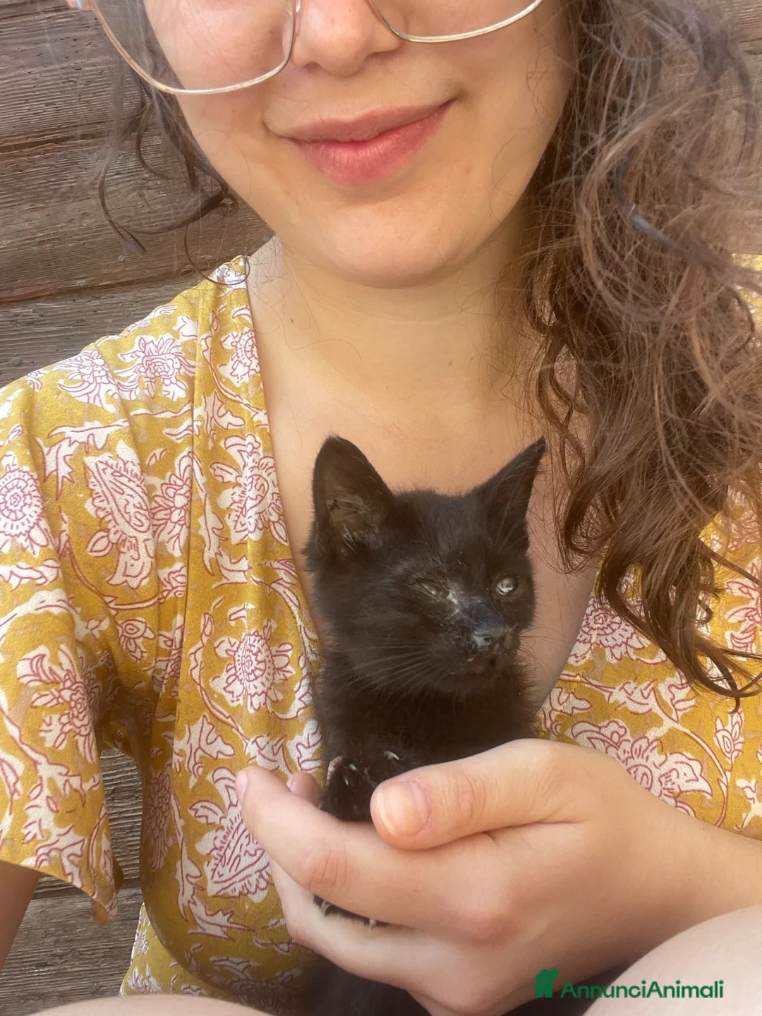 Meticcio gatti in regalo: GATTO DOLCISSIMO HA BISOGNO DI VOI a Città metropolitana di Roma Capitale - Annuncio 2