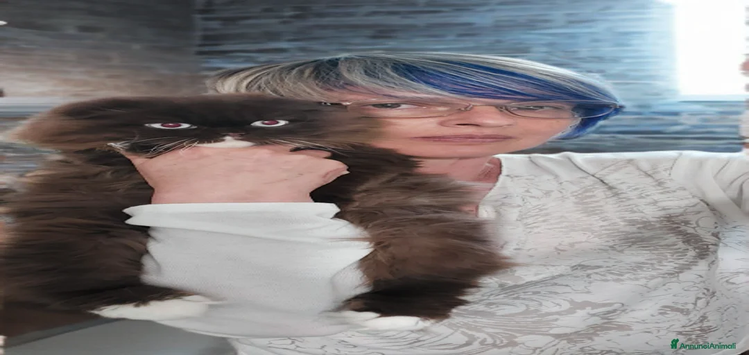 Immagine della galleria {{count}}