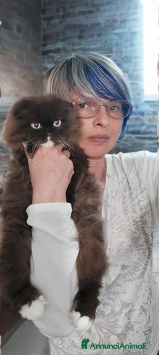 Immagine della galleria {{count}}