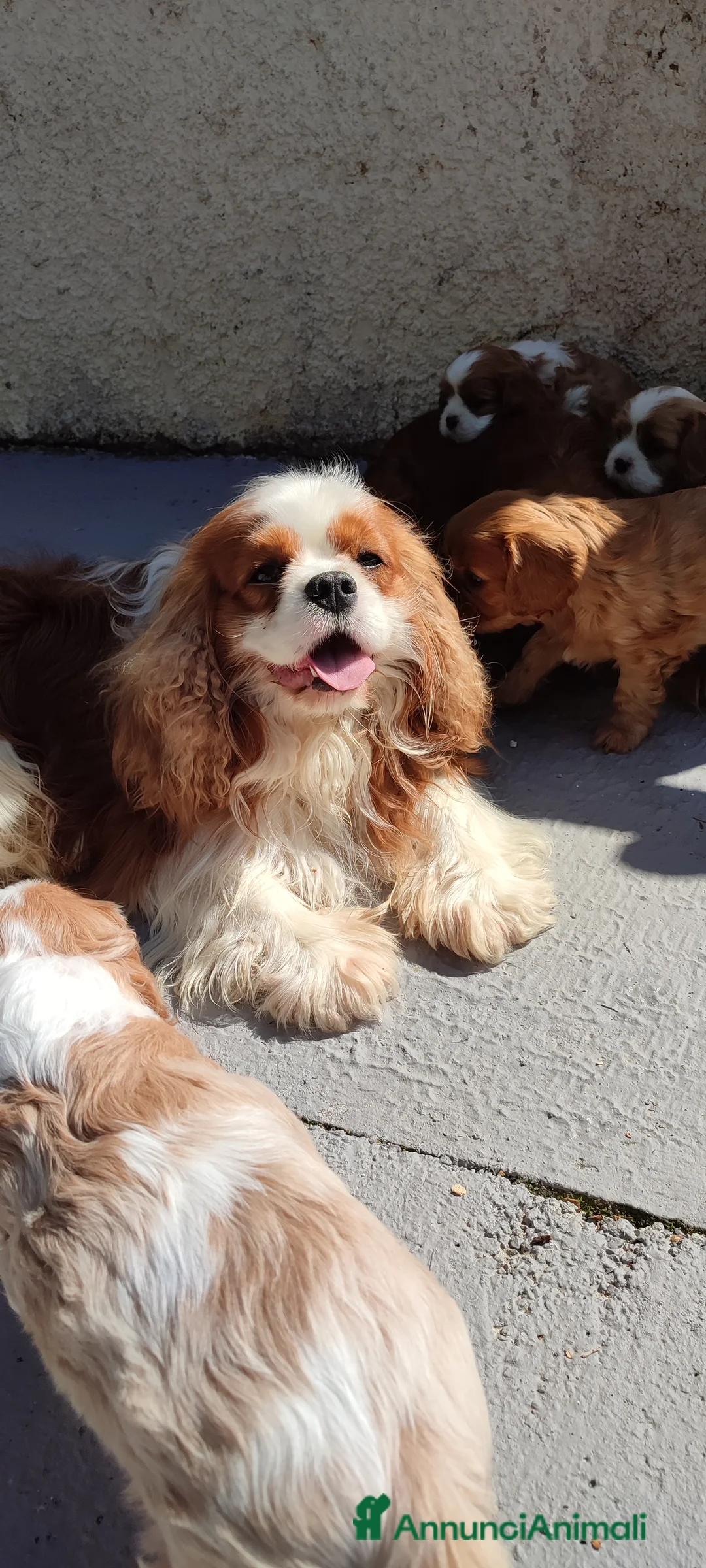 Immagine della galleria {{count}}