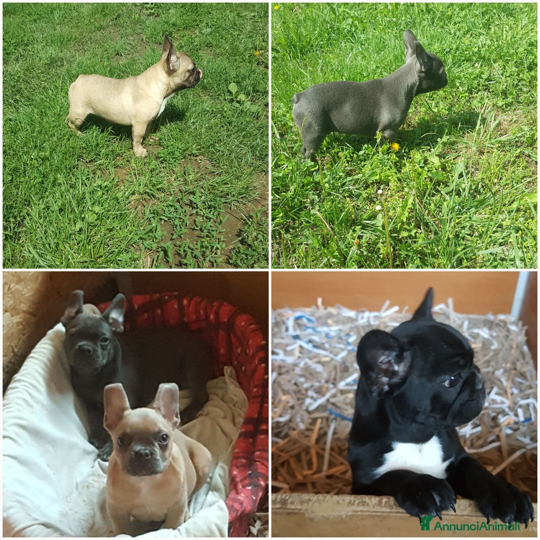 Immagine della galleria {{count}}