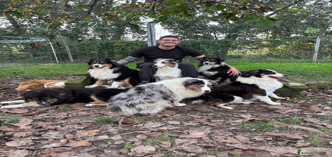 Immagine della galleria {{count}}