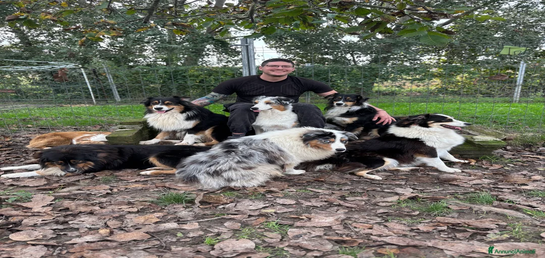 Immagine della galleria {{count}}