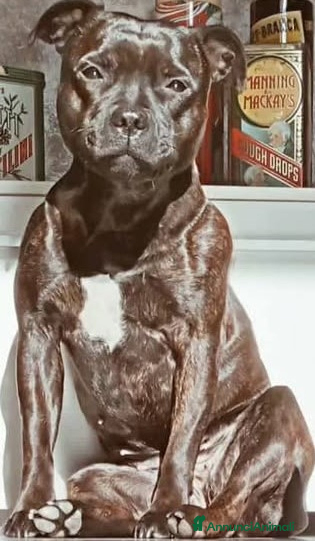 Immagine della galleria {{count}}