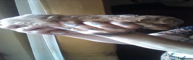 Barboncino Toy 1