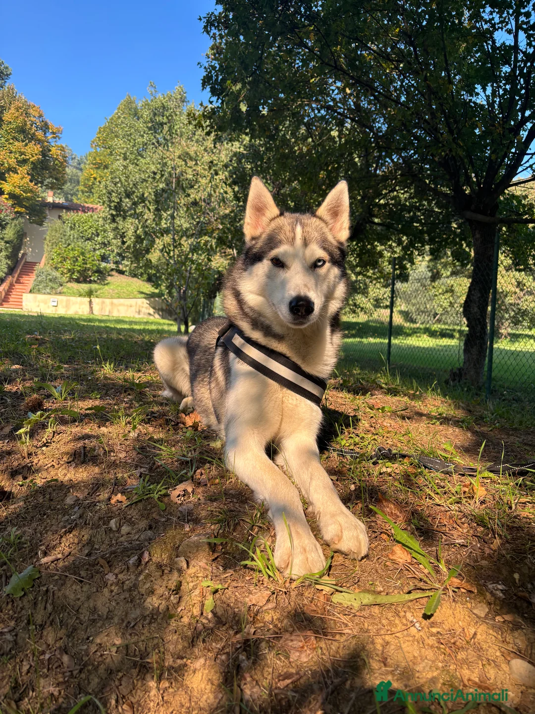 Immagine della galleria {{count}}