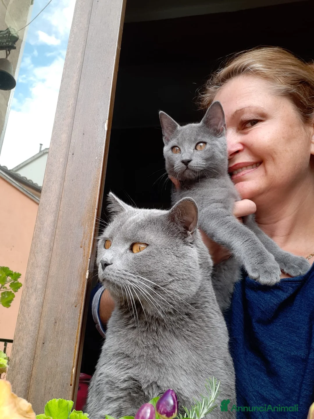 Immagine della galleria {{count}}