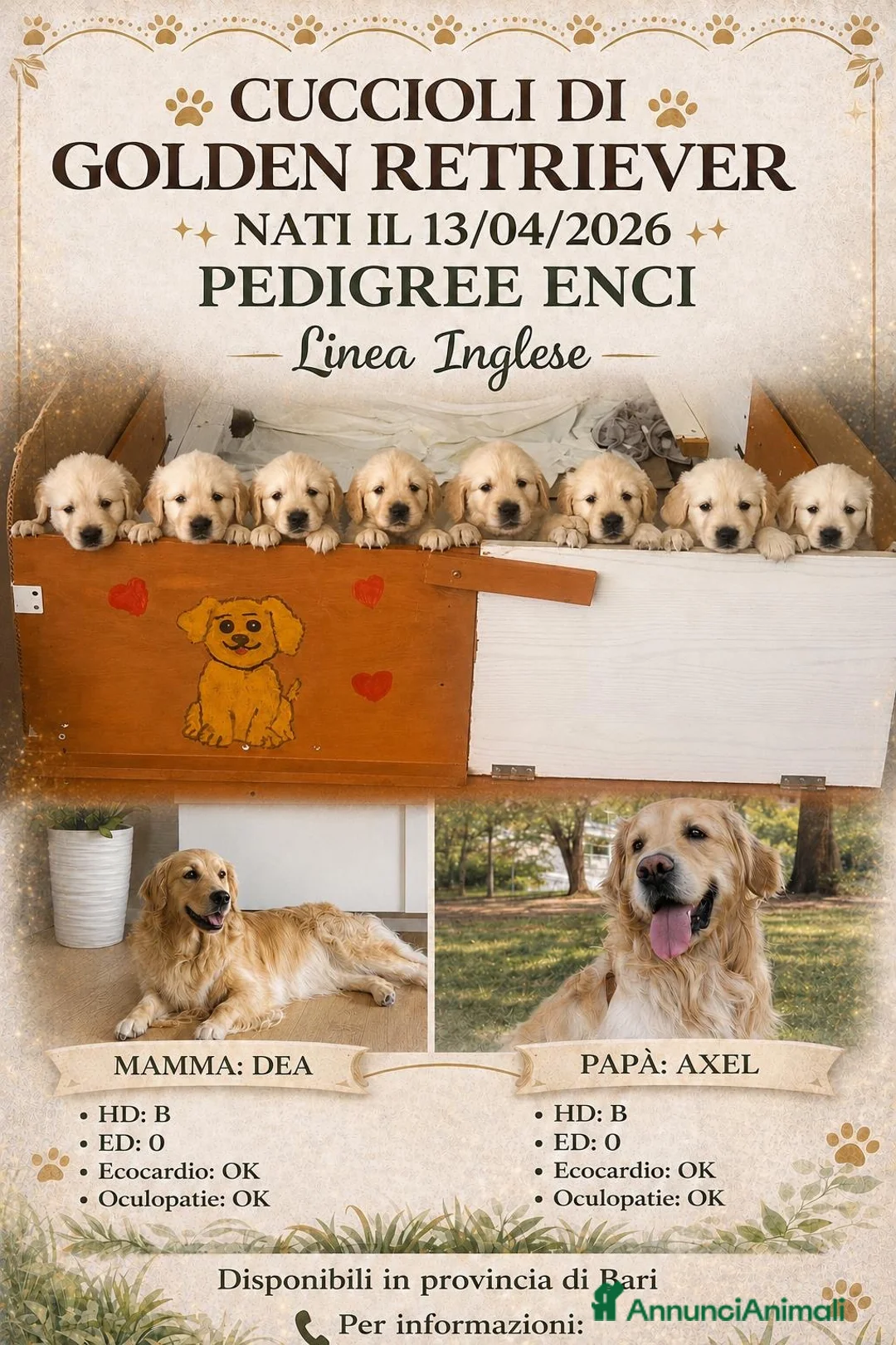 Golden Retriever cani in vendita: Cuccioli di Golden Retrivier  - Annuncio 1