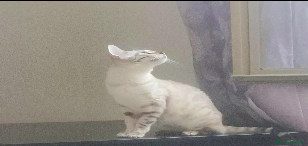 Immagine della galleria {{count}}