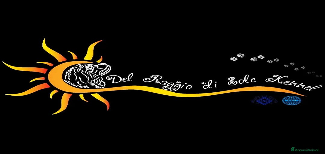 Immagine della galleria {{count}}