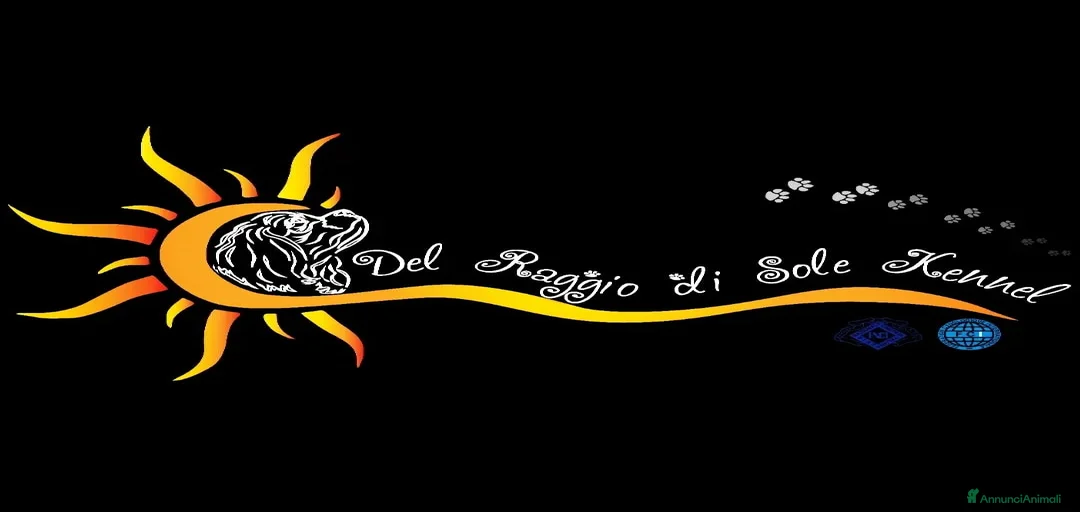 Immagine della galleria {{count}}