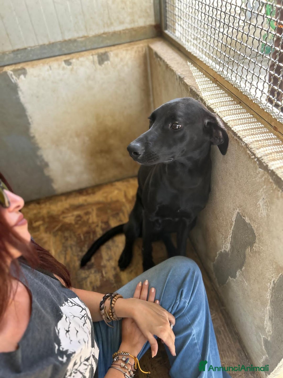 Altre razze cani in regalo: gohan crilin e trakns - Annuncio 4