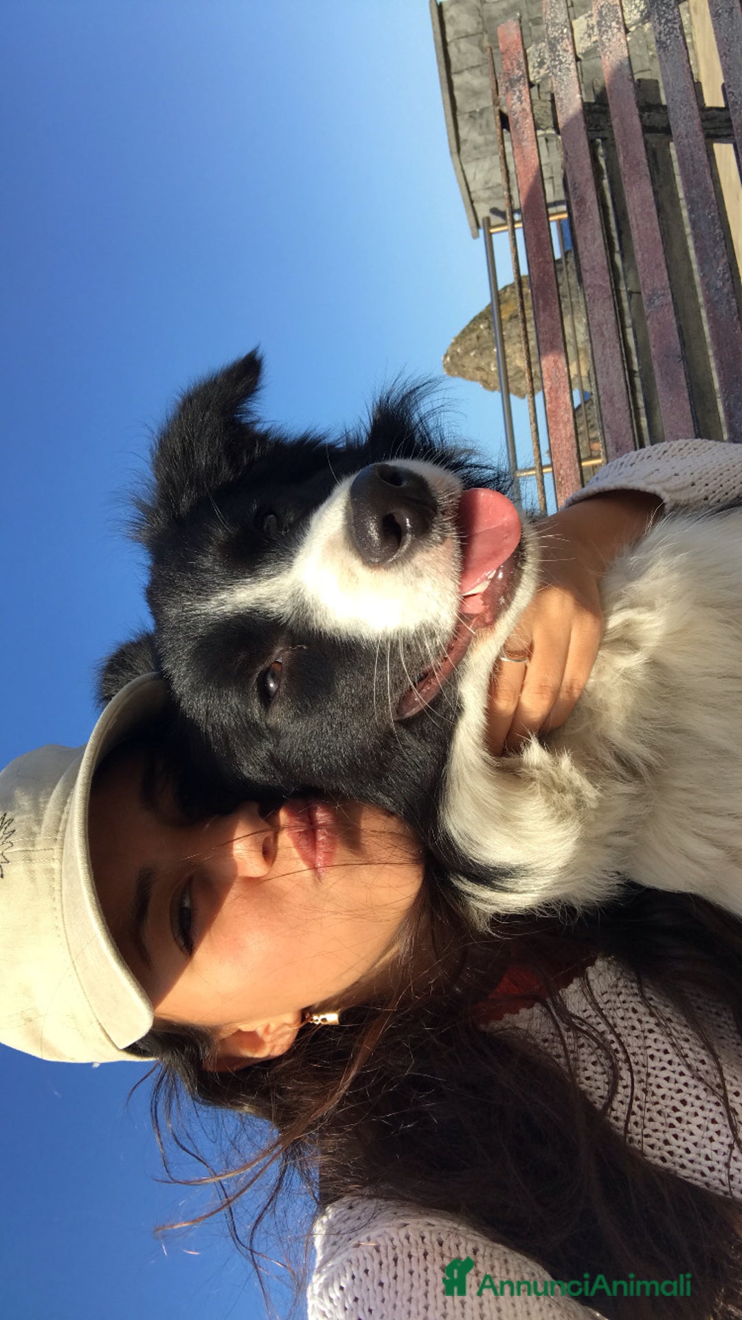 Immagine della galleria {{count}}