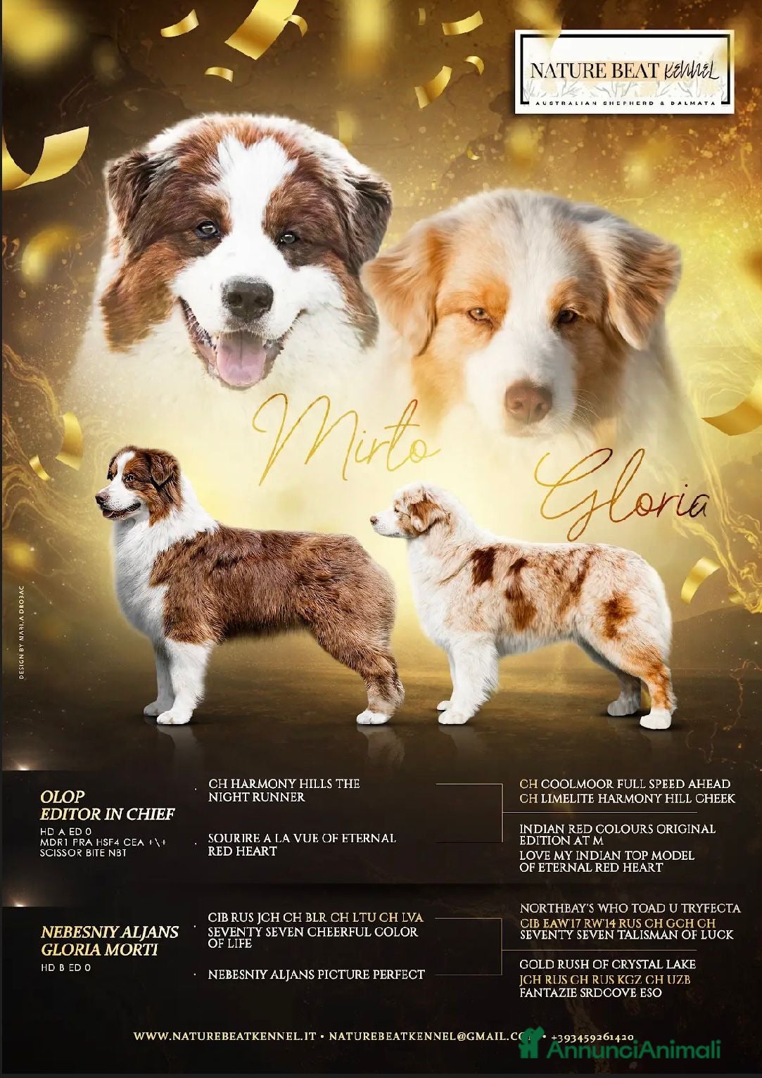 Australian Shepherd cani Cucciolo pastore australiano  - Annuncio 2