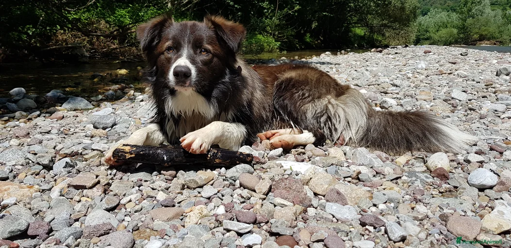 Immagine della galleria {{count}}