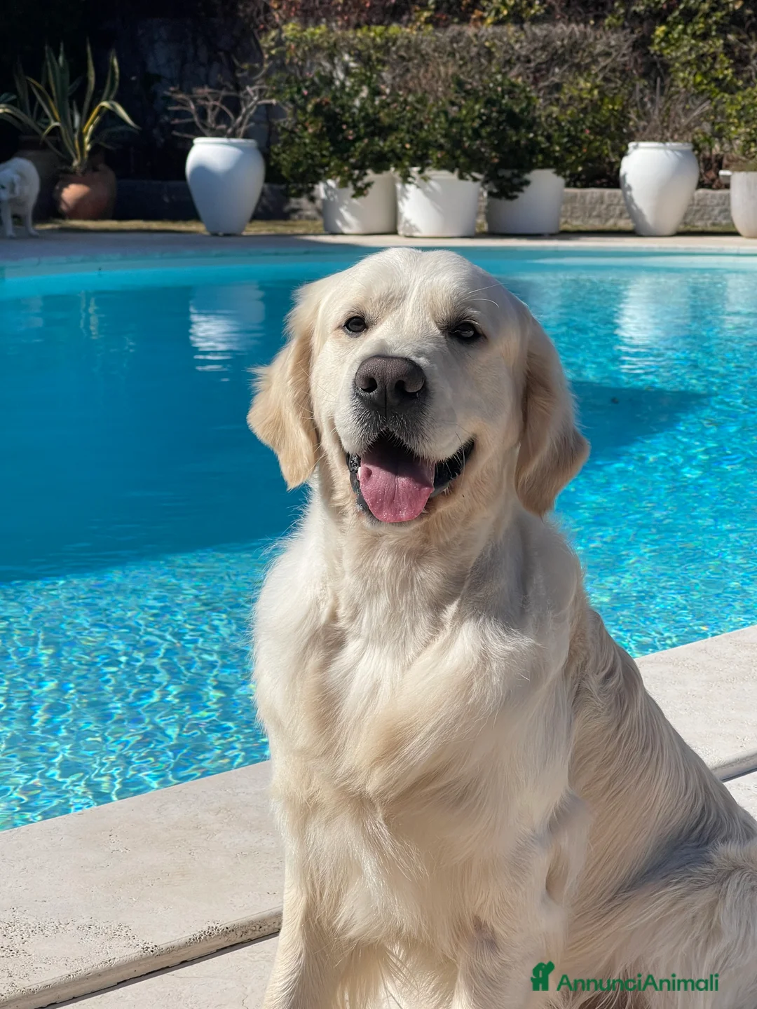 Immagine della galleria {{count}}