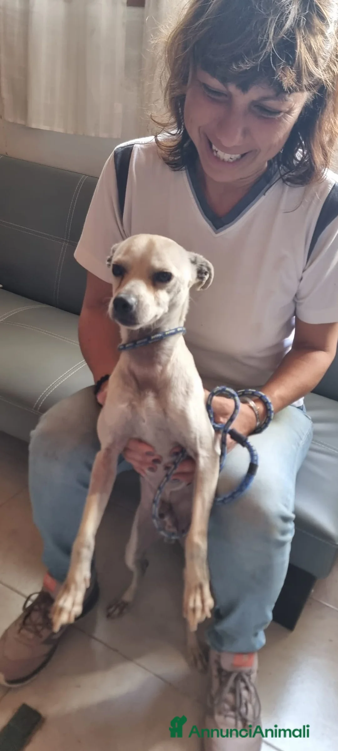Meticcio cani in regalo: FIGARÒ 💙-soli 6kg, cerca di nuovo casa per sempre a Provincia di Pavia - Annuncio 5