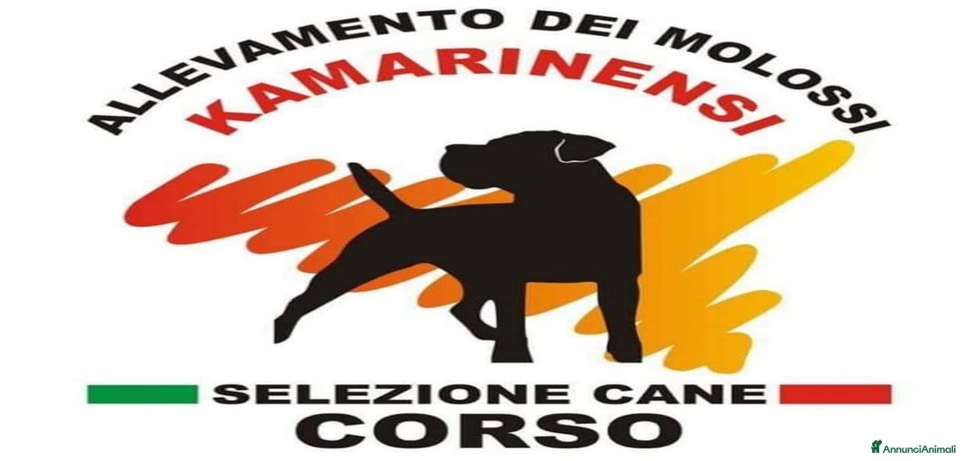 Immagine della galleria {{count}}