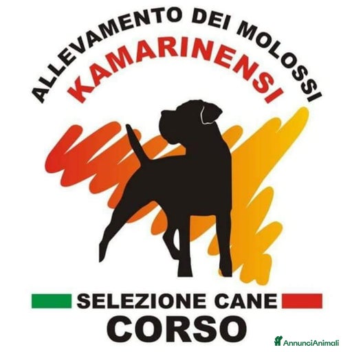 Immagine della galleria {{count}}