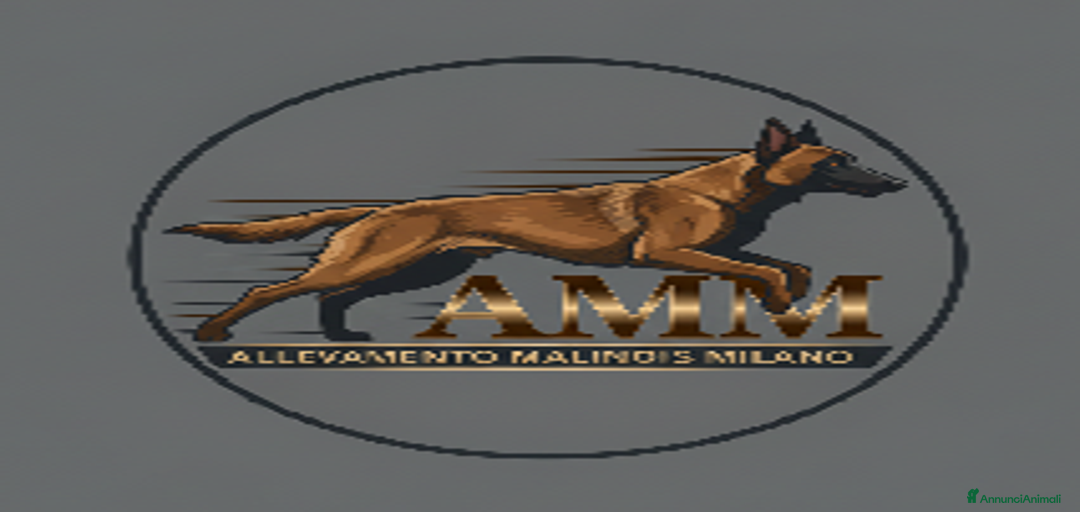 Immagine della galleria {{count}}