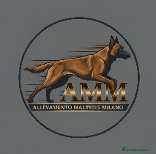 Immagine della galleria {{count}}