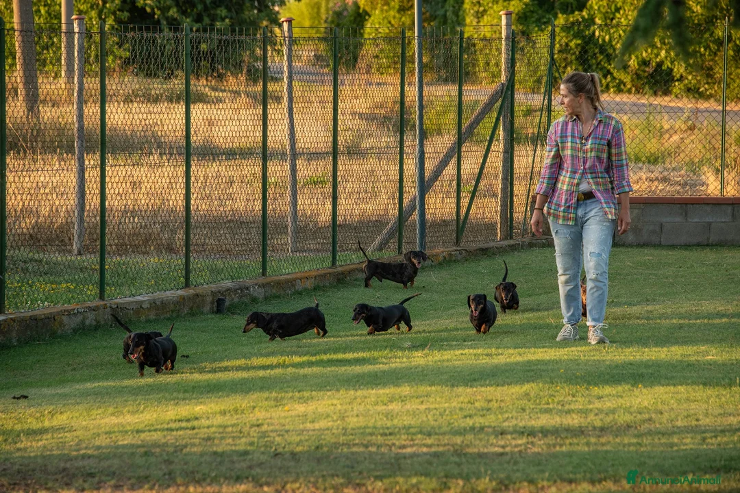 Immagine della galleria {{count}}