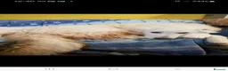 Pastore Abbruzzese Maremmano cani in regalo: ROMEO buono ed affettuoso a Provincia di Livorno - Annuncio 2
