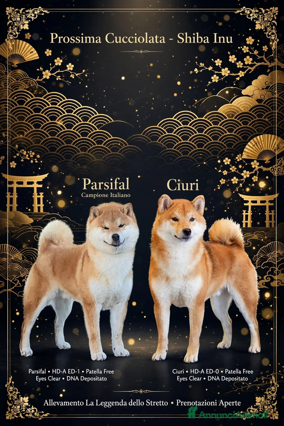 Shiba Inu cani in vendita: Shiba inu a Città Metropolitana di Bologna - Annuncio 1