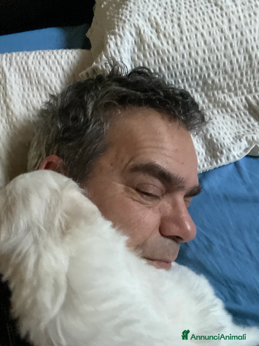 Immagine della galleria {{count}}