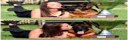 Pastore Tedesco cani in vendita: Allevamento di Terra Scura a Provincia di Salerno - Annuncio 6