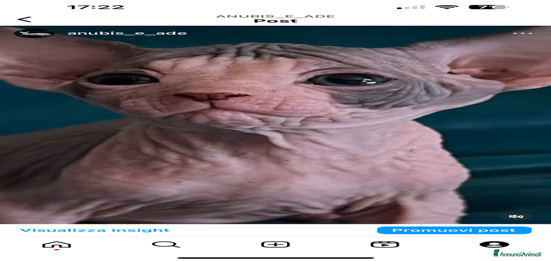 Immagine della galleria {{count}}