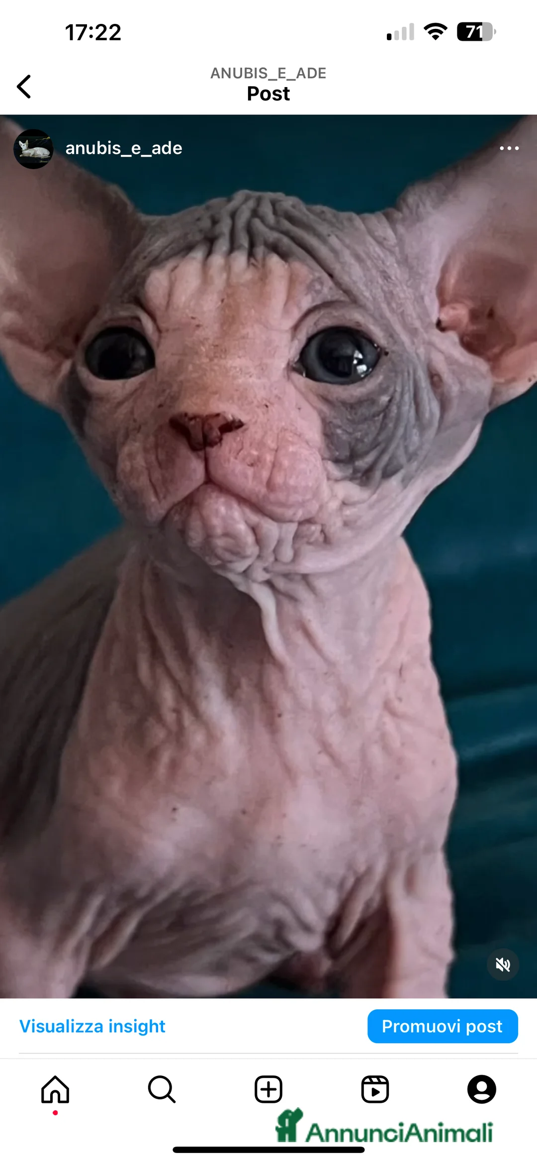 Immagine della galleria {{count}}