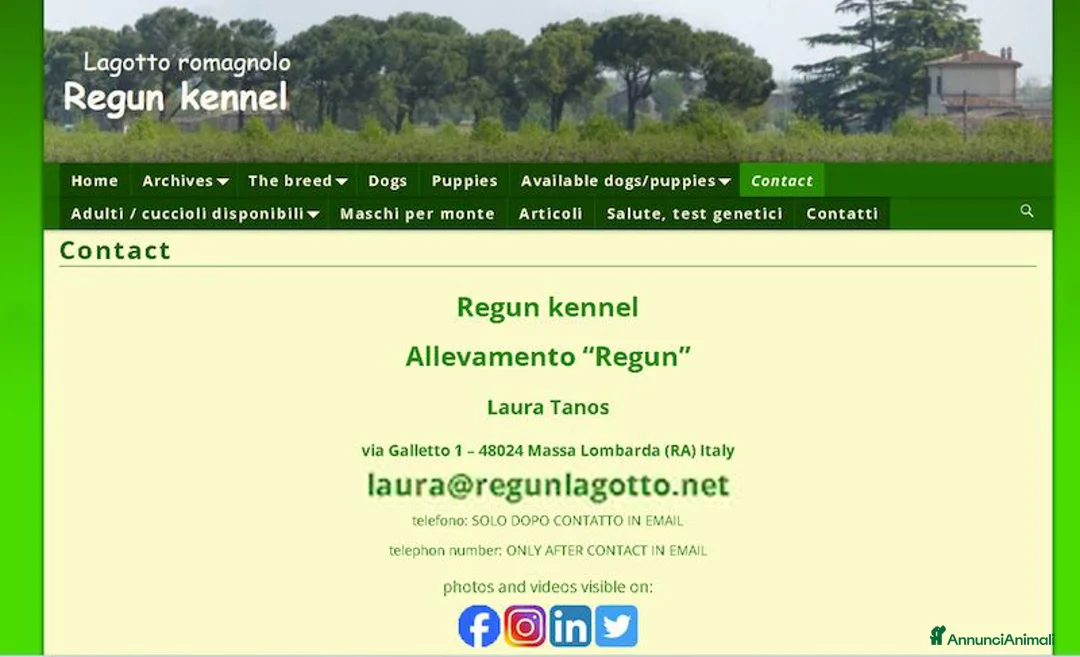 Lagotto cani in vendita: Lagotto romagnolo - cuccioli - Annuncio 10