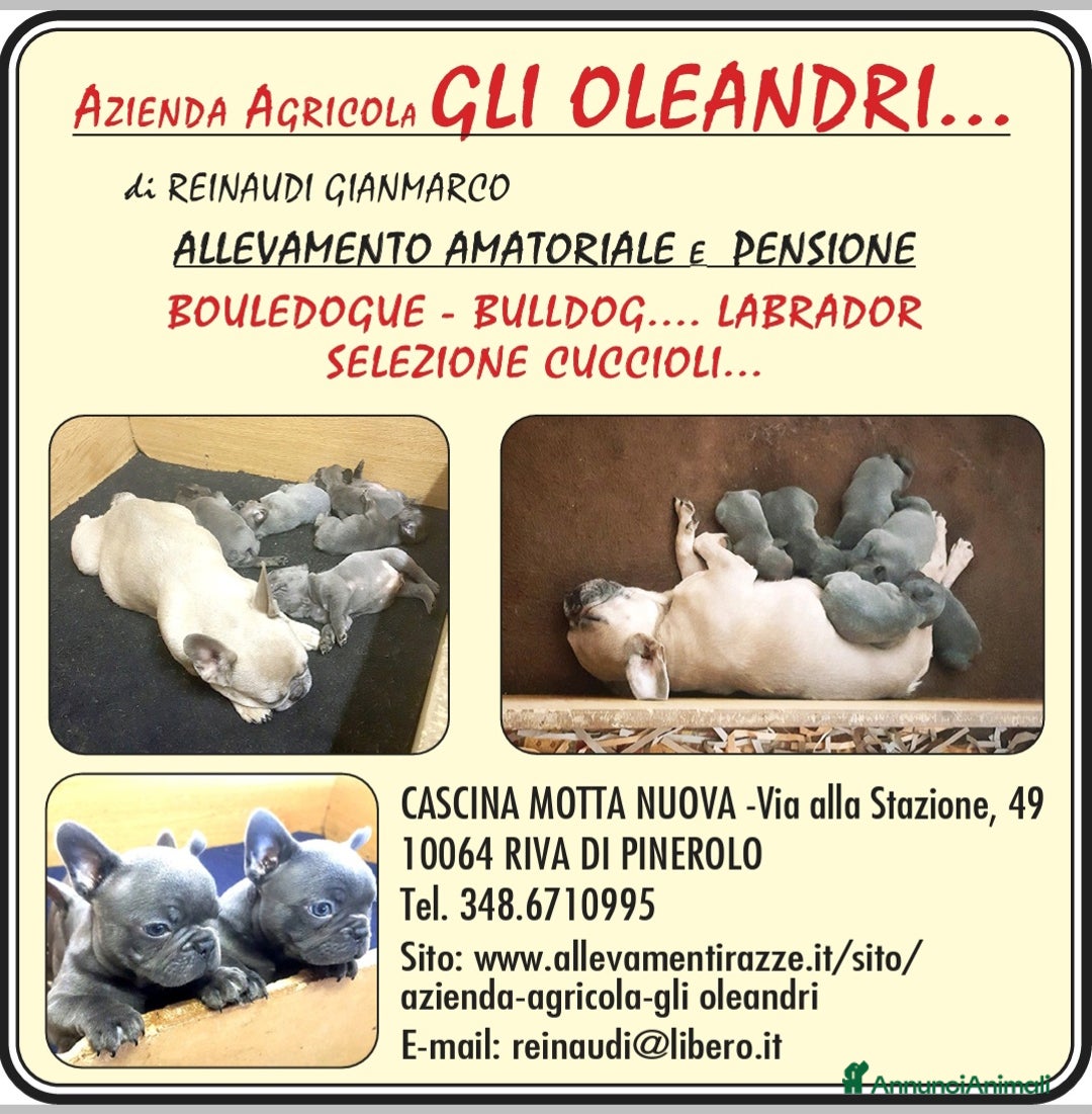 Immagine della galleria {{count}}