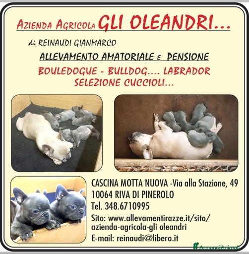 Immagine della galleria {{count}}