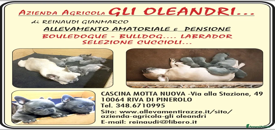 Immagine della galleria {{count}}