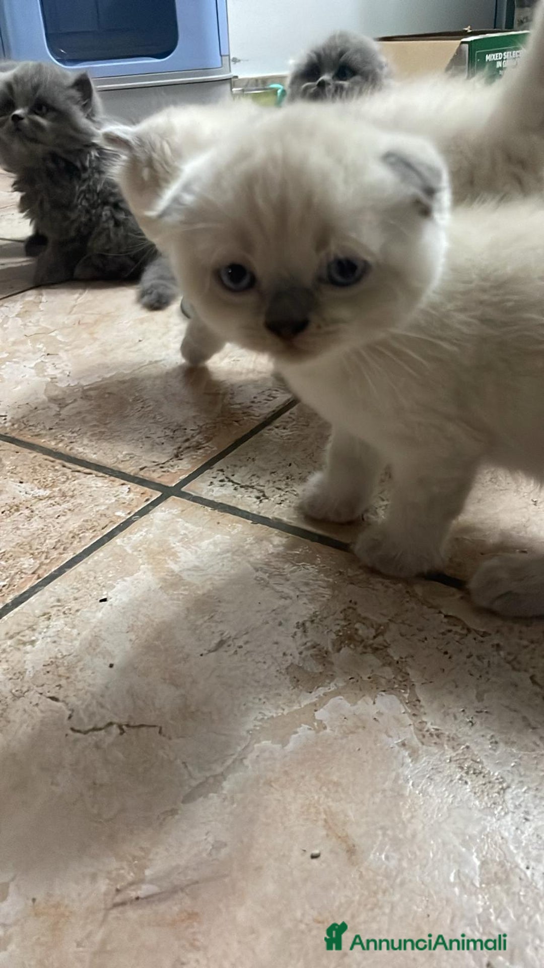 Immagine della galleria {{count}}