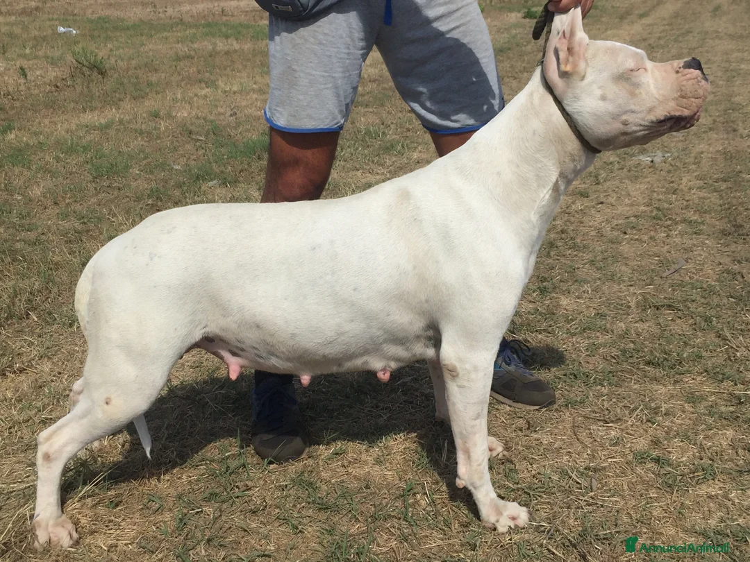 Immagine della galleria {{count}}