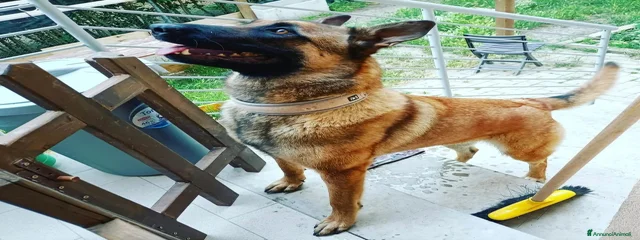 Tre