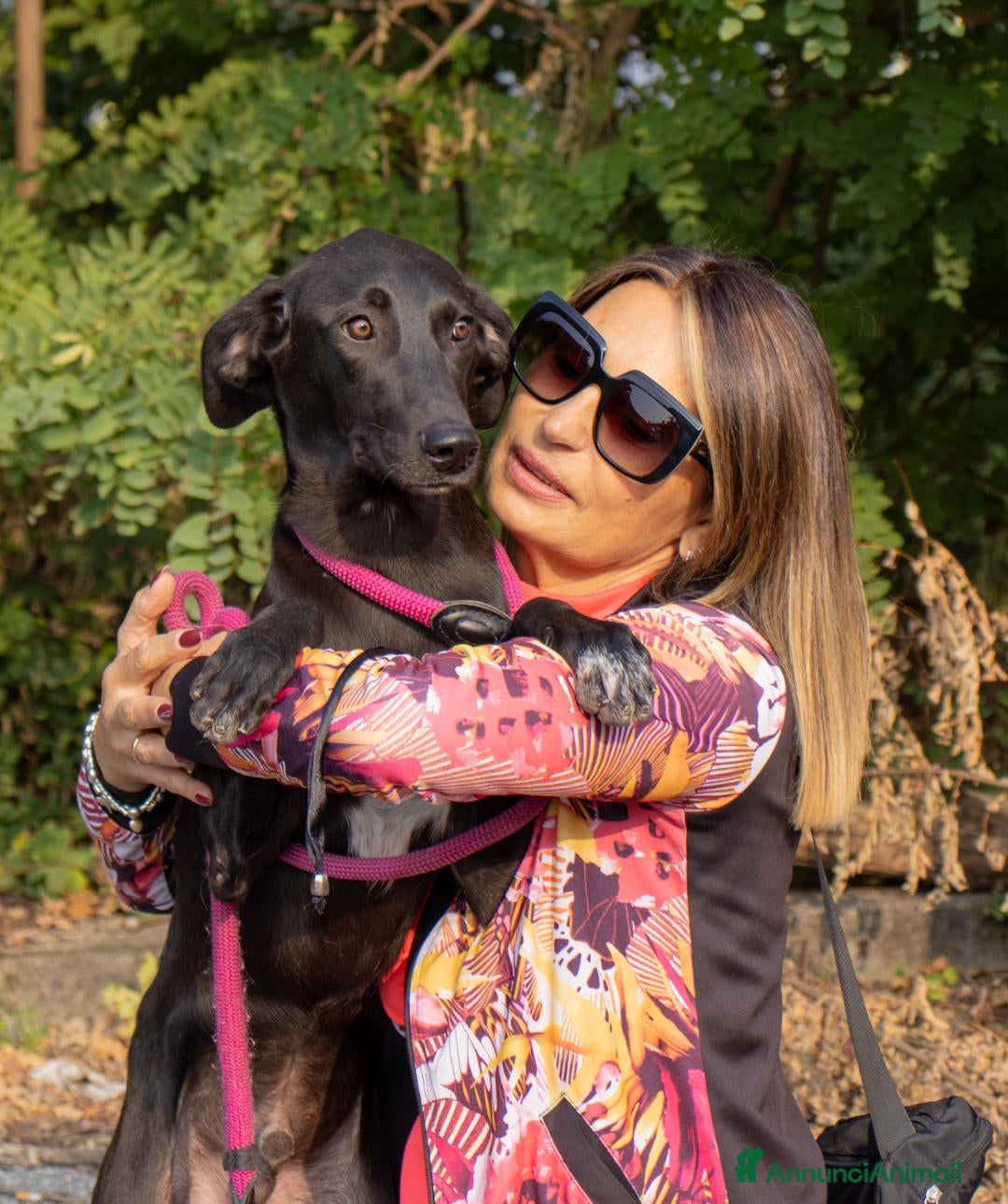 Altre razze cani in regalo: piccolo - Annuncio 3