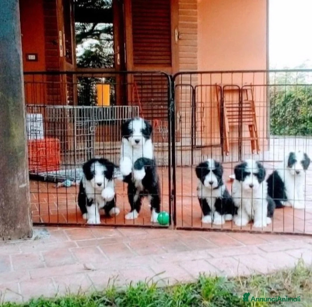 Immagine della galleria {{count}}